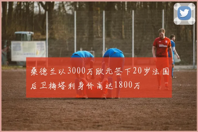 桑德兰以3000万欧元签下20岁法国后卫梅塔利身价高达1800万
